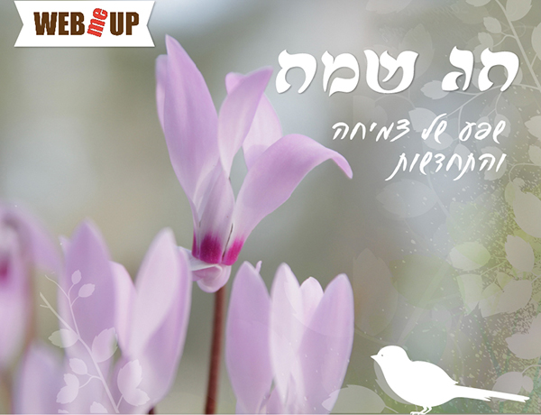 ניוזלטר חודש אפריל, גיליון חגיגי לקראת פסח | webmeup